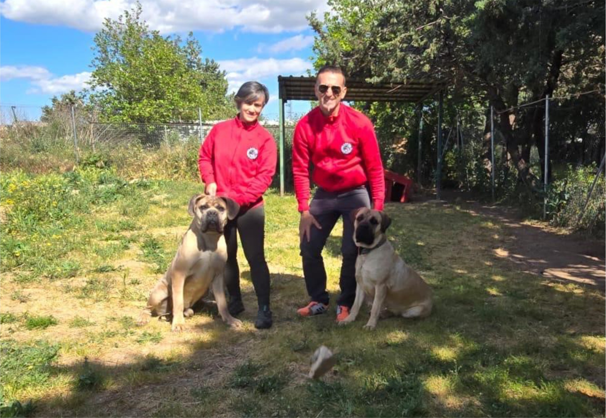 nosotros mm cane cohors