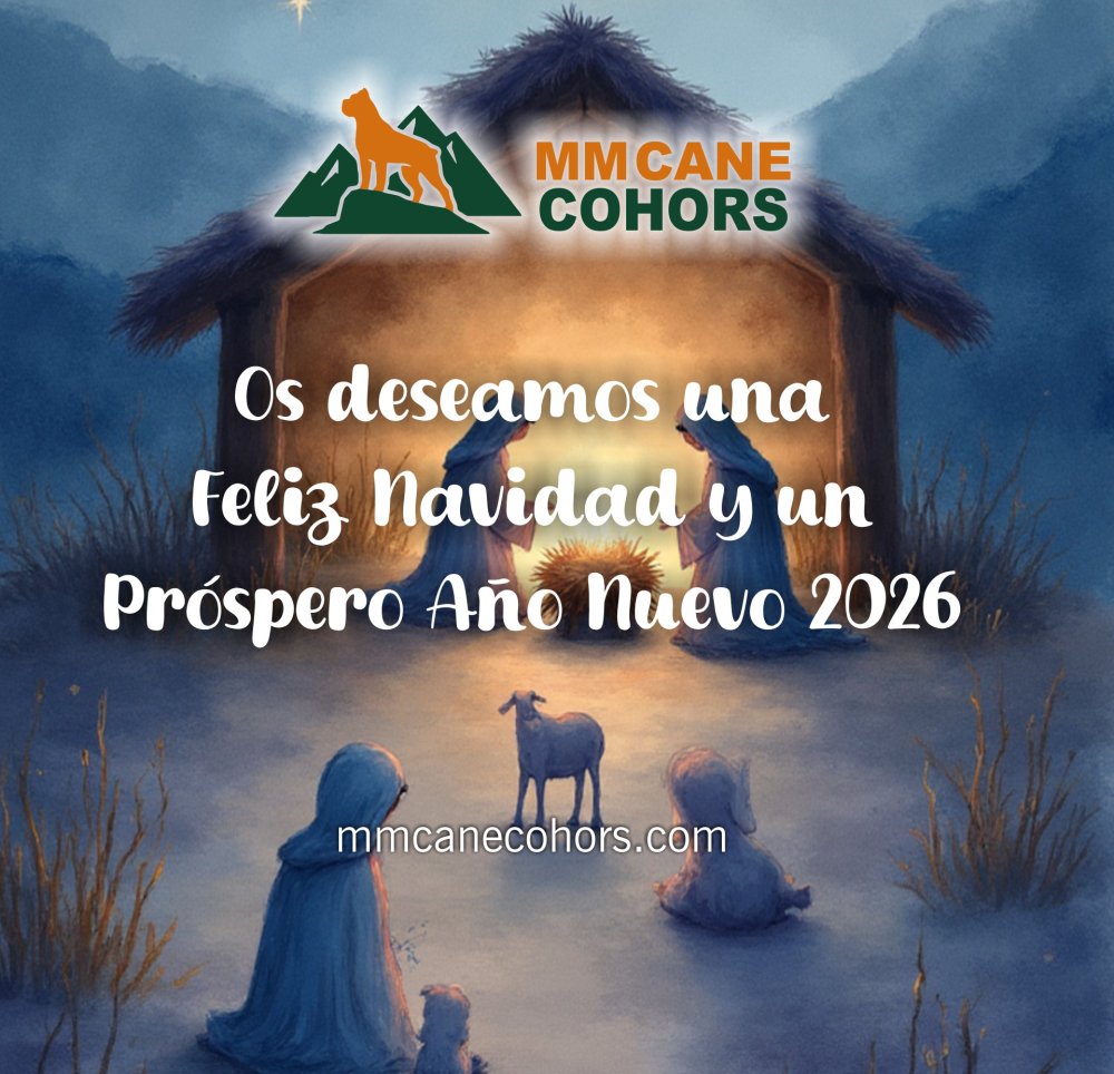 Feliz Navidad y Pr&oacute;spero A&ntilde;o nuevo